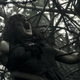 Illustration for article titled These emEvil Dead/em reboot photos are disturbingly gorgeous